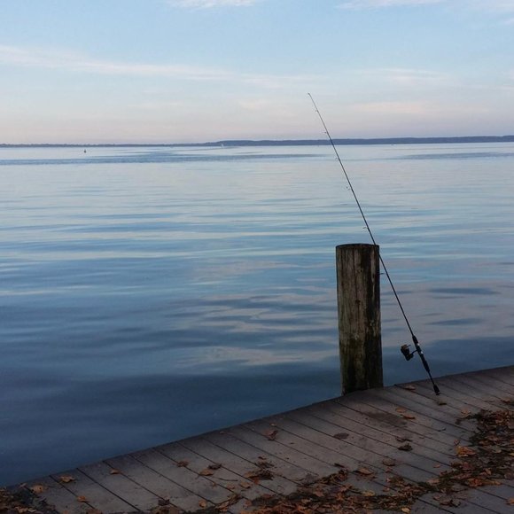 Meet your Posher, Jankatr - Picture 5 of 5